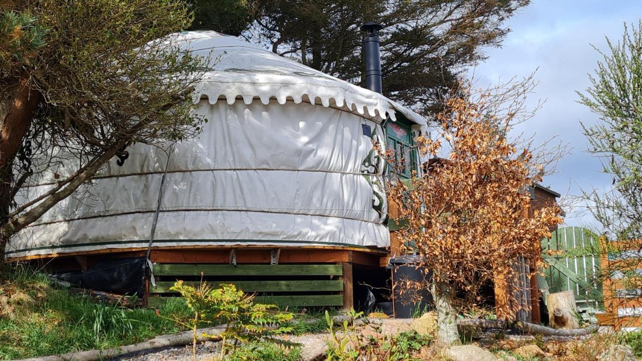 הלמסדייל The Tall Pines Yurt מראה חיצוני תמונה