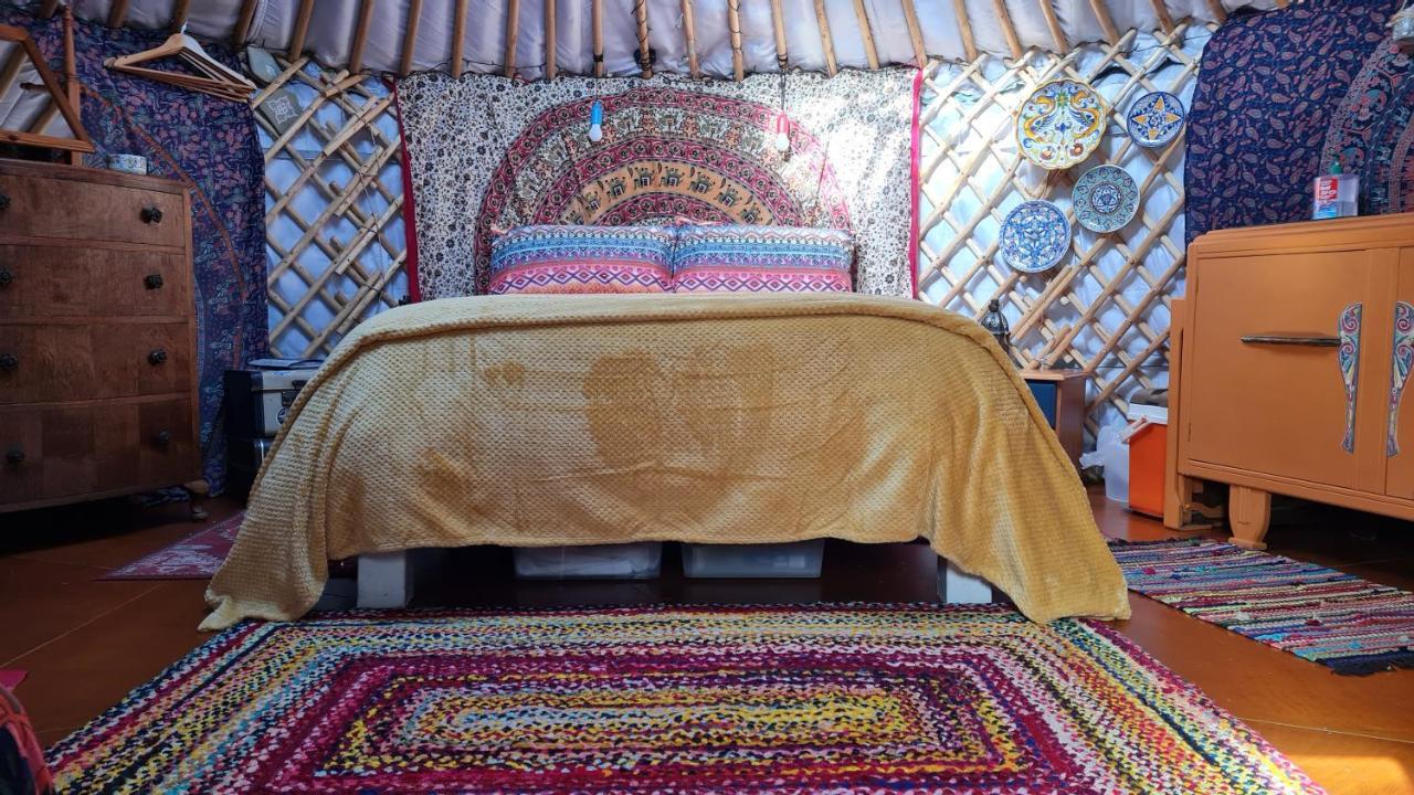 הלמסדייל The Tall Pines Yurt מראה חיצוני תמונה