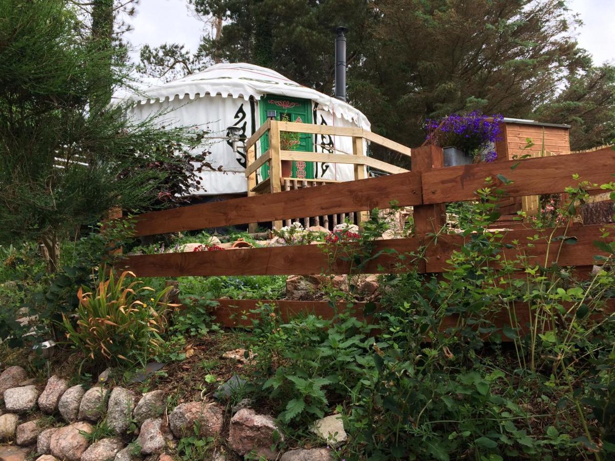 הלמסדייל The Tall Pines Yurt מראה חיצוני תמונה